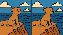 Test pozornosti: dokážete nájsť 3 rozdiely na obrázku psa na skale za 31 sekúnd?