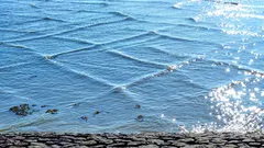 „Chyba v Matrixe“: Na jazere Michigan zaznamenali vzácne štvorcové vlny