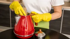 Tajomstvo dokonale čistej rýchlovarnej kanvice: dve prírodné ingrediencie robia zázraky