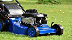 Prečo by ste nemali kosiť trávu po daždi alebo po polievaní: 6 nežiaducich následkov