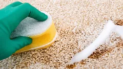 Jednoduchý domáci spôsob odstránenia škvŕn z koberca – stačí peroxid a prostriedok na umývanie riadu