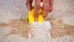 Koberec bude ako nový za 10 minút: účinný trik bez vyklepávania prachu a bez vysávača