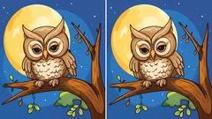 Test pozornosti: Dokážete nájsť všetky rozdiely na obrázku sovy na strome?