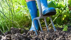 Záhrada v marci: 4 veľmi dôležité úlohy, ktoré treba stihnúť do konca mesiaca