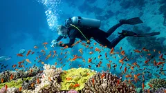 Podmorské tajomstvá: 6 miest, kam sa potápači z celého sveta túžia dostať v roku 2026