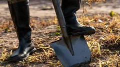 V apríli treba záhradu posypať týmto hnojivom: pôda bude 10-krát úrodnejšia