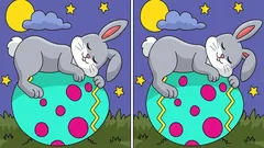 Hlavolam: Nájdete 3 rozdiely na zajačikovi spiacom na veľkonočnom vajíčku za 9 sekúnd?