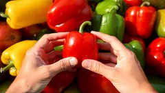 Ktorá paprika je zdravšia – červená, žltá alebo zelená? Experti urobili bodku za sporom